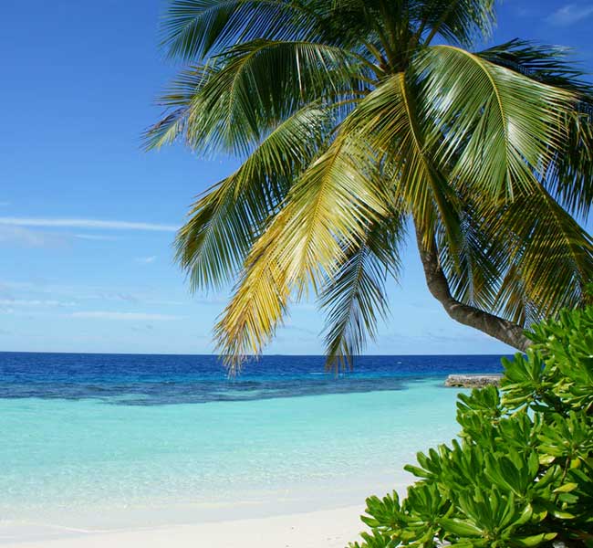 Caribbean Beach Vacations