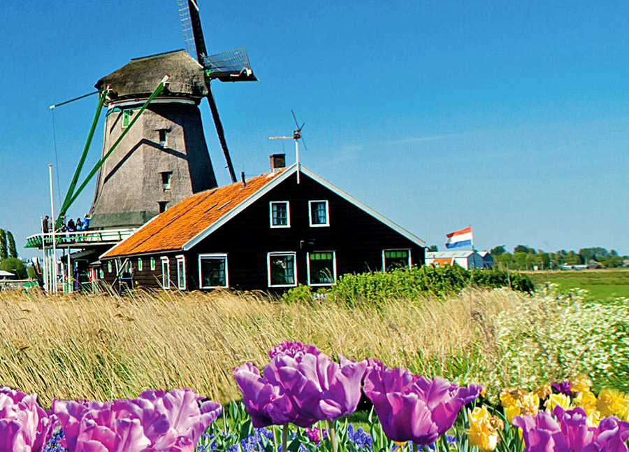 Tulips & Windmills 2023