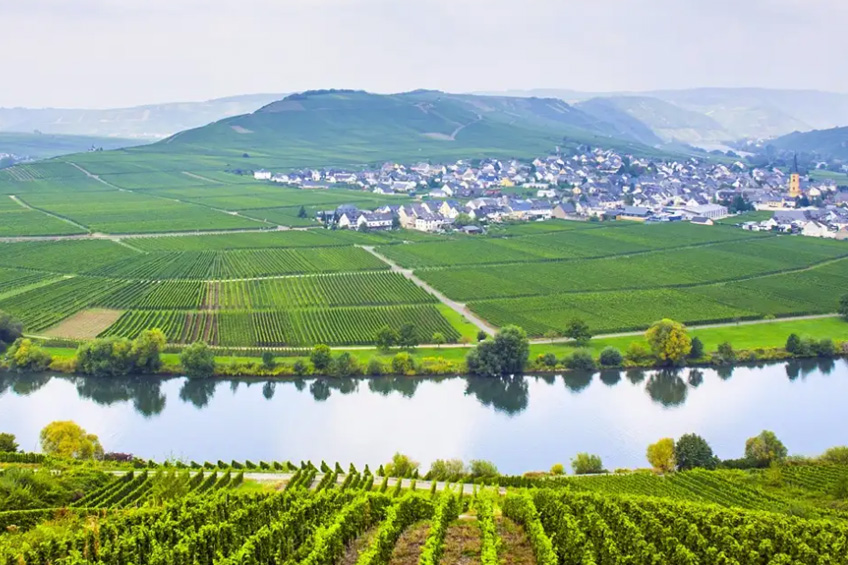 THE VALLEY OF THE ROMANTIC RHINE, THE MOSELLE AND THE MAIN