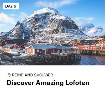 Discover Amazing Lofoten