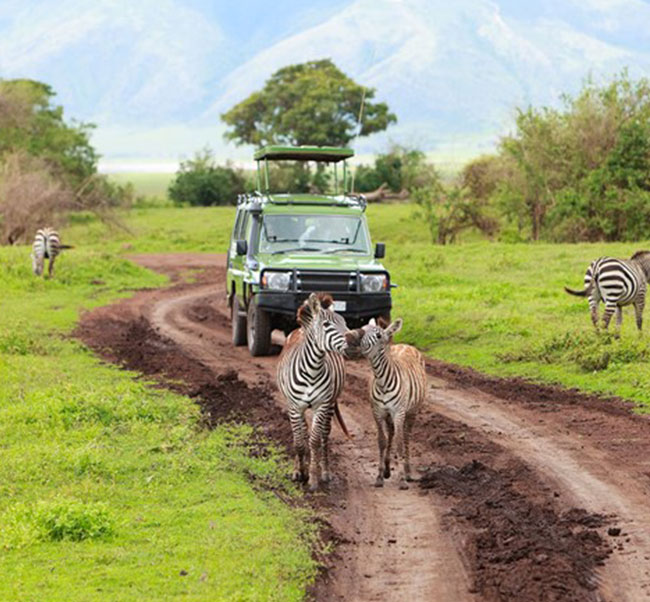Africa Vacations: Focus South Africa
