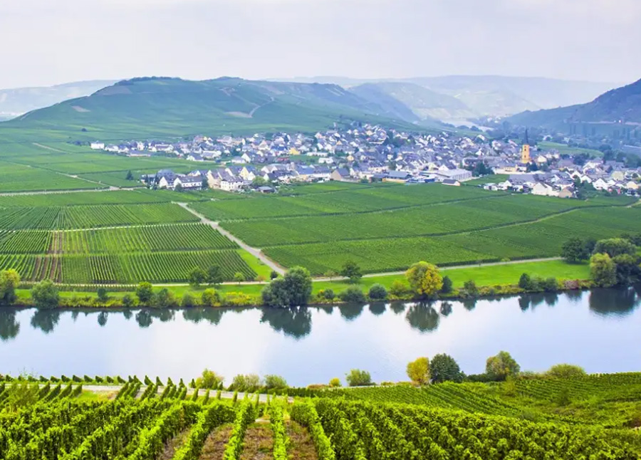 The Valley of the romantic Rhine, the Moselle and the Main  | CroisiEurope Cruises