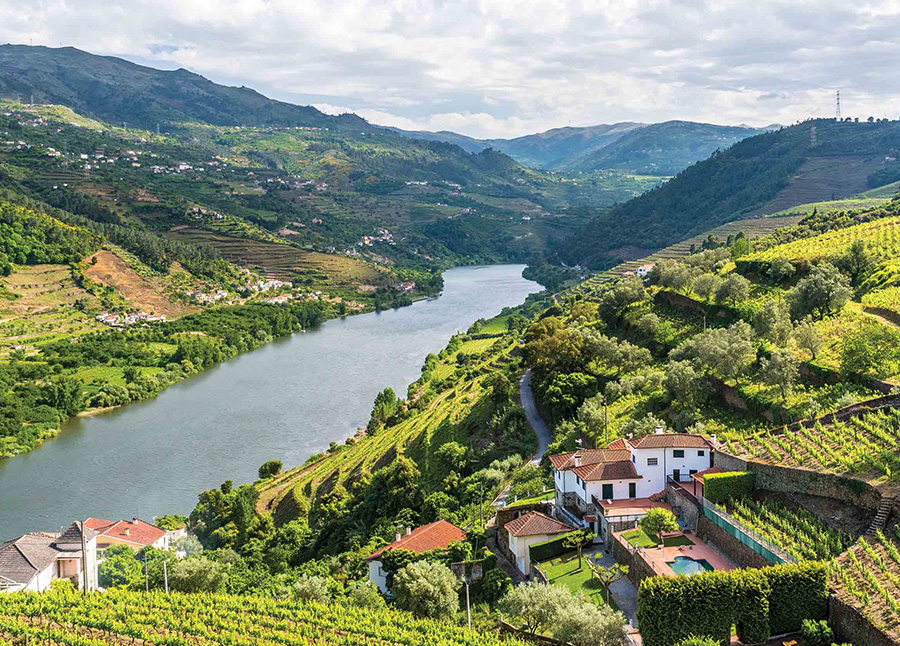Villages and Vintages: Cruising the Douro River Valley  2021